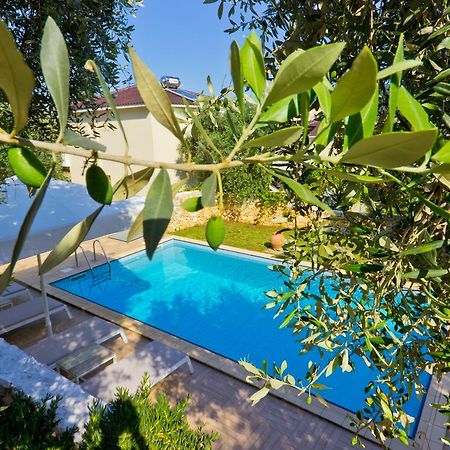Thassian Villas Thasos Extérieur photo